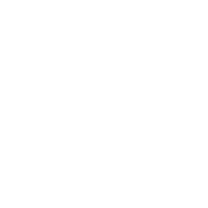 Vitus Business Services